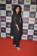 at Radio Mirchi music awards red carpet in Mumbai on 7th Feb 2013 (29).JPG